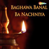 Baghawa Banal Ba Nachniya songs mp3