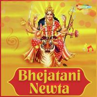 Bhejatani Newta songs mp3