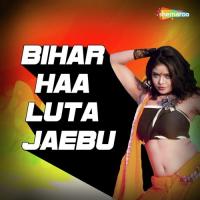 Bihar Haa Luta Jaebu songs mp3