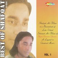 Best Of Shafqat Amanat Ali Khan Vol. 1 songs mp3