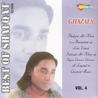 Best Of Shafqat Amanat Ali Khan Vol. 4 songs mp3