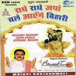 Radhe Radhe Japo Chale Aayenge Bihari songs mp3