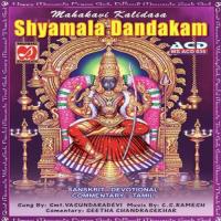 Shyamala Dandakam - Vasundara Devi songs mp3