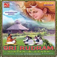 Sri Rudram - Listen And Learn - Sri Brahmasri Sankara Sasthri songs mp3