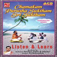 Listen And Learn - Chamakam, Purusha Suktham And Sri Suktham songs mp3