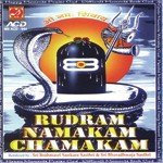 Rudram Namakam Chamakam Sri Brahmasri Sankara Sasthri,Sri Bharadhwaja Sasthri Song Download Mp3