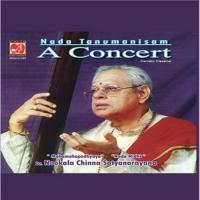 Nada Tanumanisam - A Concert - Nookala Chinna Satyanarayana songs mp3