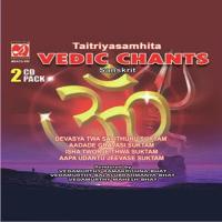 Taitryasamhita - Vedic Chants songs mp3