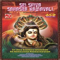 Sri Shiva Astothara Satanamam Vedamurthy Ramakrishna Bhat,Vedamurthy Balasubrahmanya Bhat,Vedamurthy Mahesh Bhat Song Download Mp3