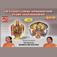 Sri Venkateshwara Suprabhatham - Vishnu Sahasranamam songs mp3