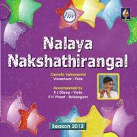 Varnam - Raga - Navaragamalika - Tala - Adi Visveshwar Song Download Mp3
