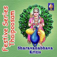 Festive Series - Thaipoosam - Sharavanabhava Kritis songs mp3
