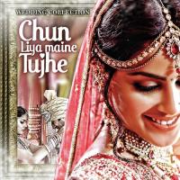 Chun Liya Maine Tujhe - Wedding Collection songs mp3