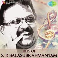 Pehla Pehla Pyar (From "Hum Aapke Hai Koun") S.P. Balasubrahmanyam Song Download Mp3