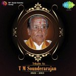 Amidhiyana Nadhiyinilae (From "Aandavan Kattalai") T.M. Sounderarajan,P. Susheela Song Download Mp3