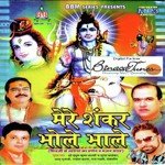 Shankar Teri Jataaon Se Mridul Krishna Shastri Song Download Mp3