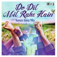 Do Dil Mil Rahe Hain (Kumar Sanu Hits) songs mp3