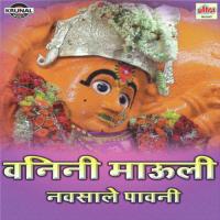 Hausema Male Navsama Male Vijay Sartape Song Download Mp3