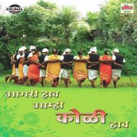 Ae Pori... Said De Lavkar Jagdish Patil Song Download Mp3
