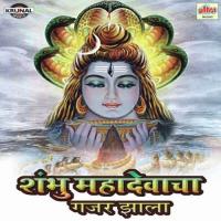 Shambhu Mahadevacha Gajar Zala songs mp3