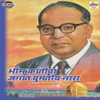 Bhim Kranticha Jagat Gumtoy Nara songs mp3