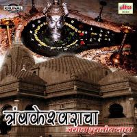 Tryambakeshwaracha Jagat Gumtoy Naara songs mp3