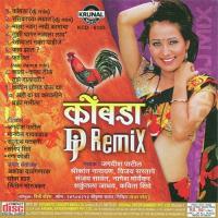Rasikacha Lagnat Jagdish Patil Song Download Mp3