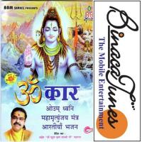 Jai Ambe Gauri Kavita Krishnamurthy Song Download Mp3