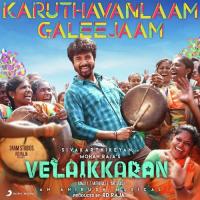 Karuthavanlaam Galeejaam (From "Velaikkaran") Anirudh Ravichander Song Download Mp3