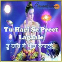 Tu Hari Se Preet Lagaale songs mp3