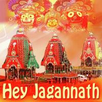 Hey Jagannath songs mp3
