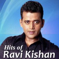 Hits Of Ravi Kissan songs mp3