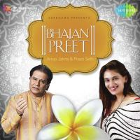 Maanav Tan Yeh Diya Hai Preeti Seth Song Download Mp3