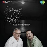 Surmayi Raat songs mp3