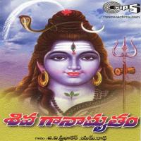 Siva Ganamrutham songs mp3