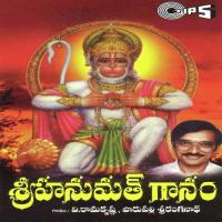 Sri Hanumatganam songs mp3