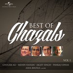 Dil Mein Ek Lehar Si Uthi Hai (Album Version) Ghulam Ali Song Download Mp3