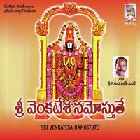Sri Venkatesa Namostute songs mp3
