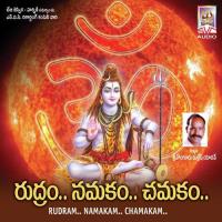 Rudram Namakam Chamakam Part 2 Kasinatha Sastry Song Download Mp3
