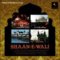 Shaan-E-Wali songs mp3