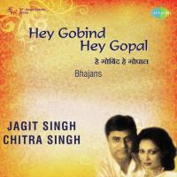 Hey Gobind Hey Gopal - Jagjit Singh And Chitra Singh songs mp3