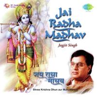 Jagjit Singh - Jai Radha Madhav Shree Krishna Dhun songs mp3