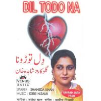 Dil Todo Na songs mp3