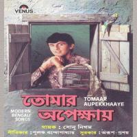 Sundori Dhaakai Saaritey Sonu Nigam Song Download Mp3
