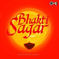 Mann Lago Mere Yaar (From "Bhakti Sagar") Suresh Wadkar Song Download Mp3