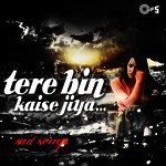 Tujhse Bichad Ke (From "Tera Mera Saath Rahen") Udit Narayan Song Download Mp3