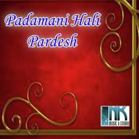 Parni Ne Hali Pardeshma Paresh Parmar,Kavita Das Song Download Mp3