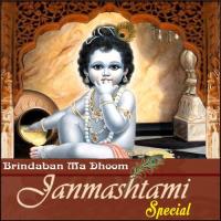 Brindaban Ma Dhoom - Janmashtami Special songs mp3