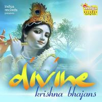 Divine - Krishna Bhajans songs mp3