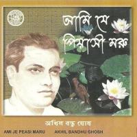 Se Kemon Nupur Ogo Akhil Bandhu Ghosh Song Download Mp3